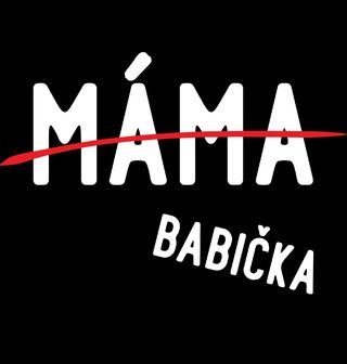 Obrázek 2 produktu Dámské tričko Povýšena z Mámy na Babičku