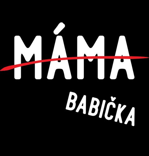 Obrázek produktu Dámské tričko Povýšena z Mámy na Babičku