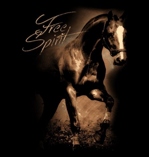 Obrázek produktu Dětské tričko Kůň Mustang Free Spirit