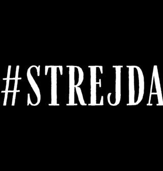 Obrázek 2 produktu Pánské tričko #STREJDA