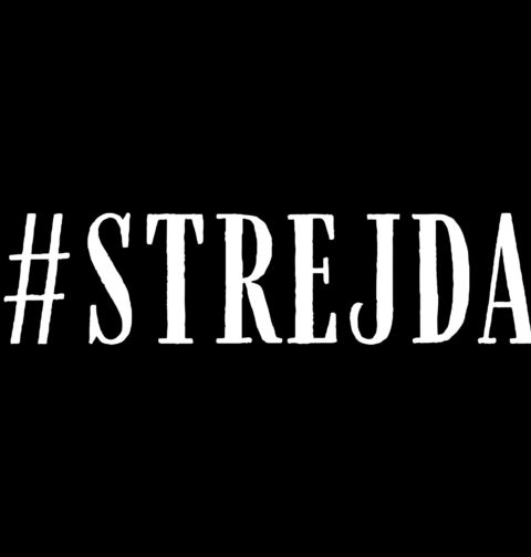 Obrázek produktu Pánské tričko #STREJDA