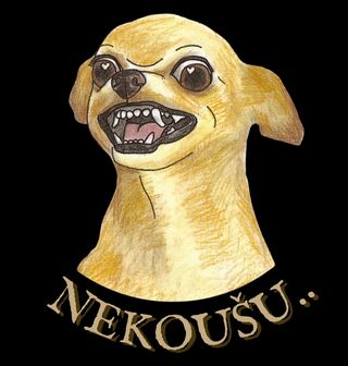 Obrázek 2 produktu Pánská mikina Agresivní Čivava Nekoušu…