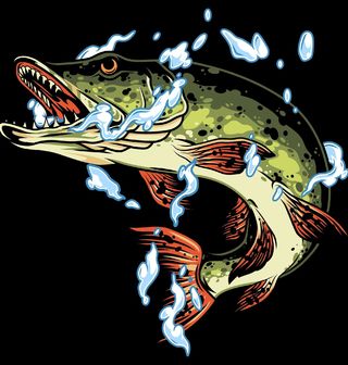 Obrázek 2 produktu Dětské tričko Dravá Štika obecná