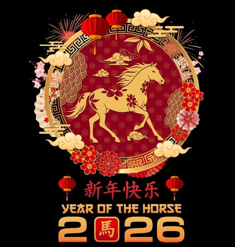 Obrázek produktu Pánské tričko Čínský Rok Ohnivého Koně Prosperity 2026