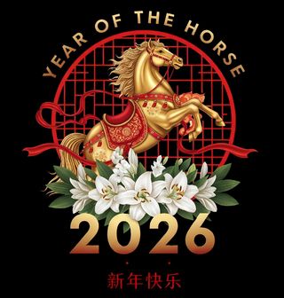 Obrázek 2 produktu Dětské tričko Zlatý Kůň Čínský Nový Rok 2026