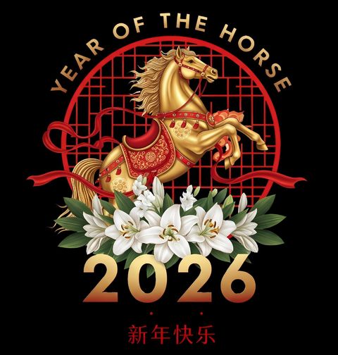 Obrázek produktu Pánské tričko Zlatý Kůň Čínský Nový Rok 2026