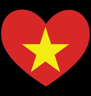 Obrázek 2 produktu Dětské tričko Srdce Vietnamu