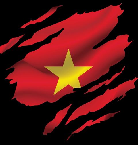 Obrázek produktu Pánská mikina Vietnamská Vlajka pod Kůží