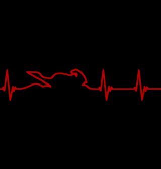 Obrázek 1 produktu Pánská mikina Červený Kardiogram a Sportovní Motorka