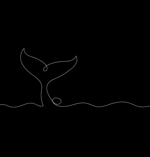 Obrázek produktu Pánské tričko Ocas Velryby jedním tahem One Line Art