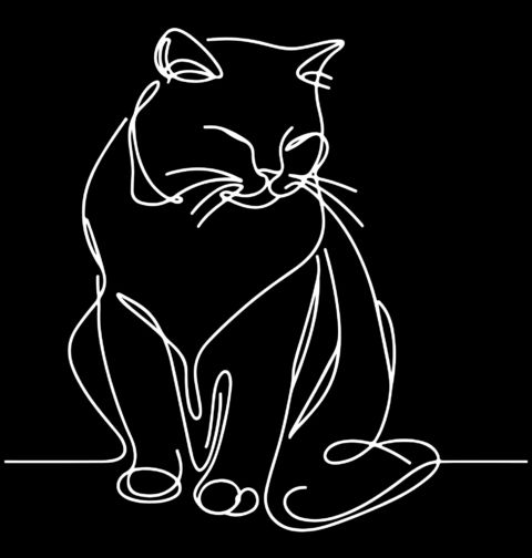 Obrázek produktu Pánské tričko Kočka jedním tahem One Line Art