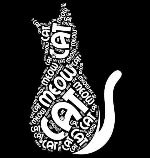 Obrázek produktu Dámské tričko Kočka Cat Meow