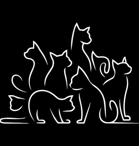 Obrázek produktu Pánská mikina Smečka Koček