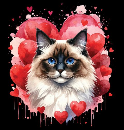 Obrázek produktu Pánská mikina Kočka Ragdoll mezi Srdci