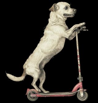 Obrázek 2 produktu Pánská mikina Voříšek na Koloběžce