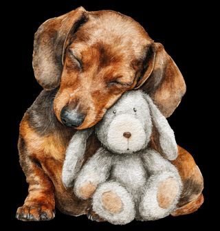 Obrázek 2 produktu Pánská mikina Roztomilý Jezevčík s Plyšákem