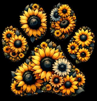 Obrázek 2 produktu Pánské tričko Psí Tlapka ze Slunečnic