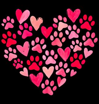 Obrázek 2 produktu Dámské tričko Srdce ze Psích Tlapek