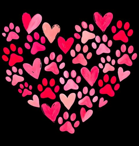Obrázek produktu Pánské tričko Srdce ze Psích Tlapek