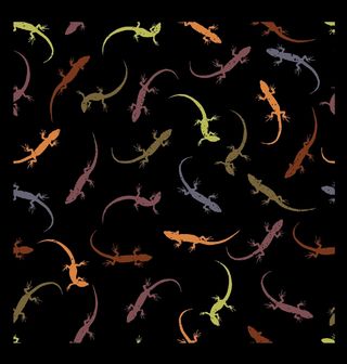 Obrázek 2 produktu Pánská mikina Barevní Gekoni