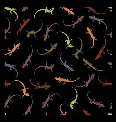 Obrázek produktu Dámské tričko Barevní Gekoni