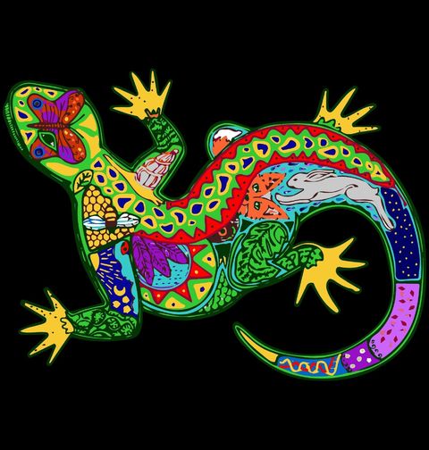 Obrázek produktu Dámské tričko Barevná Exotická Ještěrka