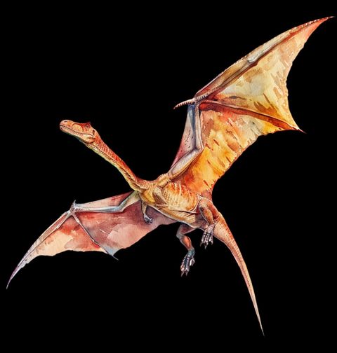 Obrázek produktu Dámské tričko Pravěký Ptakoještěr Pterosaur