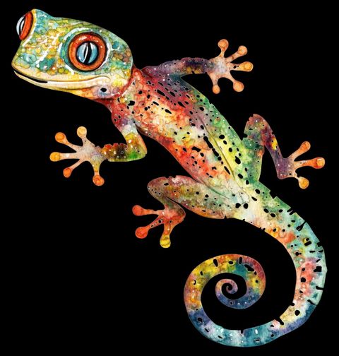 Obrázek produktu Dětské tričko Tropický Gekon