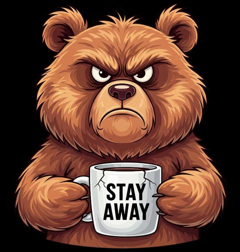 Obrázek produktu Pánské tričko Medvědí Introvert Stay Away