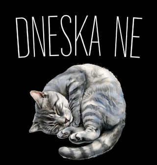 Obrázek 1 produktu Dámské tričko Spící Kočka Dneska ne