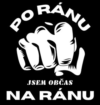 Obrázek 2 produktu Pánská mikina Po ránu jsem občas na ránu