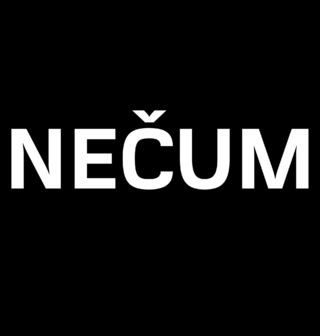 Obrázek 2 produktu Dámské tričko NEČUM