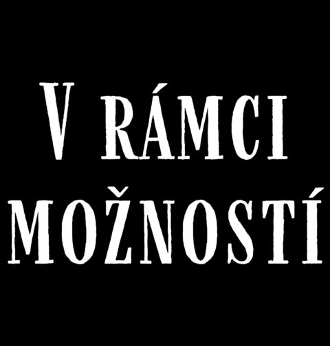 Obrázek produktu Dětské tričko V rámci možností