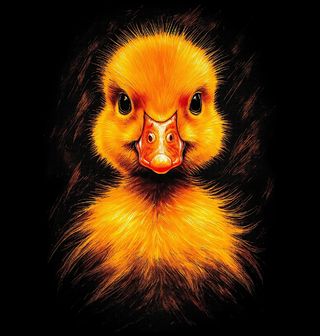 Obrázek 1 produktu Pánská mikina Zlaté Kachně