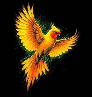 Obrázek 1 produktu Dětské tričko Korela chocholatá v Letu