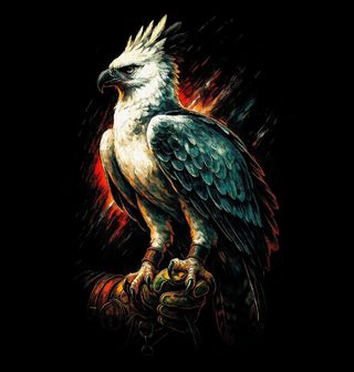 Obrázek 1 produktu Pánská mikina Harpyje pralesní