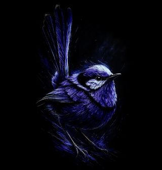 Obrázek 1 produktu Pánská mikina Modropláštník nádherný