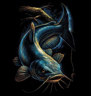 Obrázek 1 produktu Pánské tričko Sumec velký