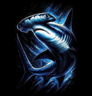 Obrázek 2 produktu Dámské tričko Kladivoun velký