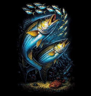 Obrázek 2 produktu Dětské tričko Mořčák pruhovaný