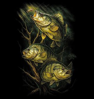 Obrázek 2 produktu Dětské tričko Hejno Okounů pod Hladinou