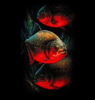 Obrázek 2 produktu Dámské tričko Piraňa červená