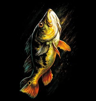 Obrázek 2 produktu Pánská mikina Okoun Paví