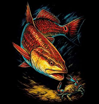 Obrázek 2 produktu Dětské tričko Bubeník americký s Krabem