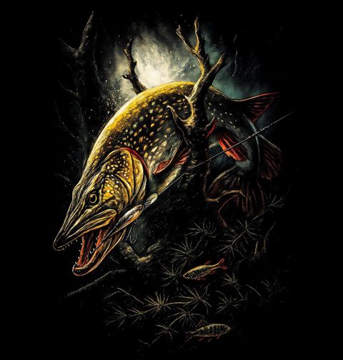 Obrázek produktu Dětské tričko Návnada na Štiku