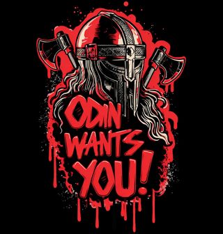 Obrázek 1 produktu Pánská mikina Ódin tě chce ODIN WANTS YOU!