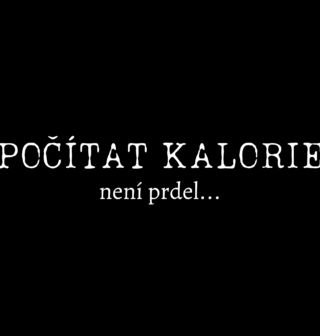 Obrázek 2 produktu Pánské tričko Počítat kalorie není prdel