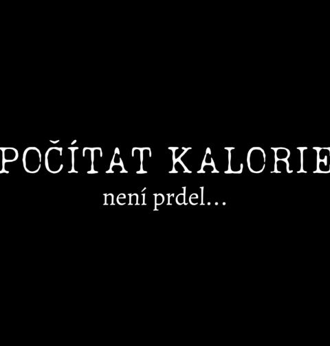 Obrázek produktu Pánská mikina Počítat kalorie není prdel