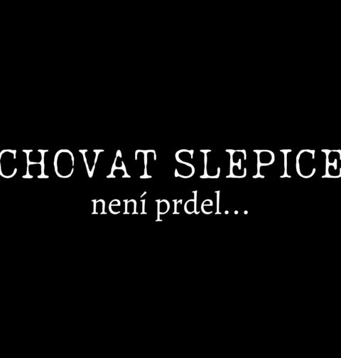 Obrázek produktu Pánské tričko Chovat slepice není prdel