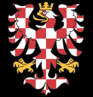 Obrázek 2 produktu Dětské tričko Moravská orlice